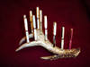 109pens_on_antler005.jpg