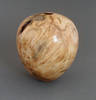 2buckeye_burl_1.jpg