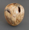 2buckeye_burl_2.jpg