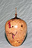 Maple-Burl-Hollow-Form-with_Finial_6_26_08.jpg