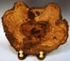 Oak_Burl.JPG