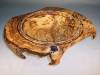 Spalted_Hackberry_Bowl.jpg